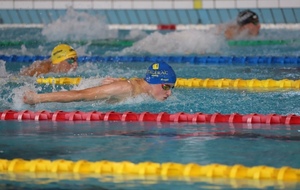 🏊‍♂️ Gaëtan TARRISSE brille aux Championnats de France Open !