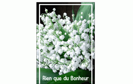 Rien que du Bonheur.